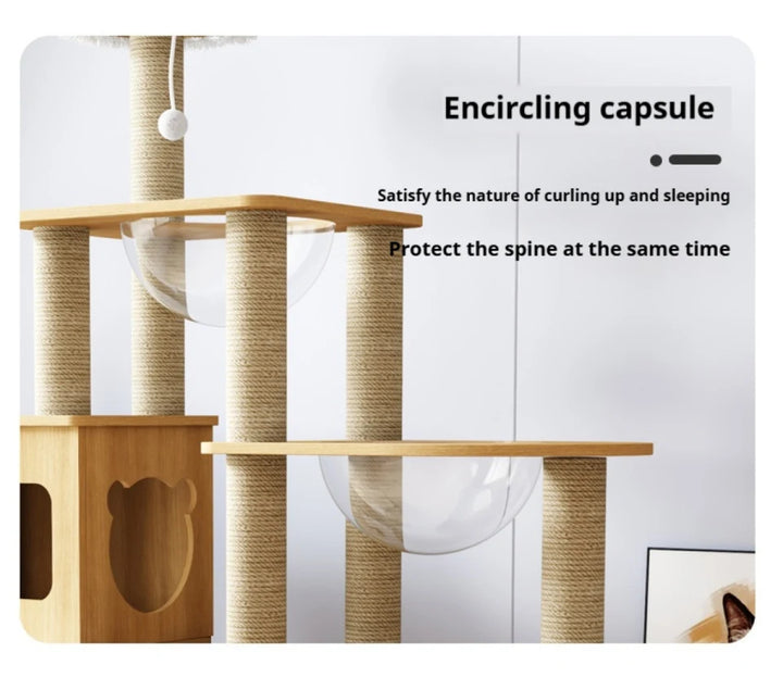 Arbre à chat bois massif - Nature'Cat