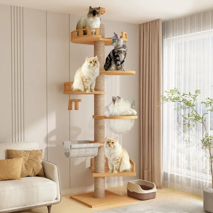 Arbre a chat XXL en bois naturel du sol au plafond avec hamac, Adapté gros chats, Maine Coon - Modèle : "SkyCat"