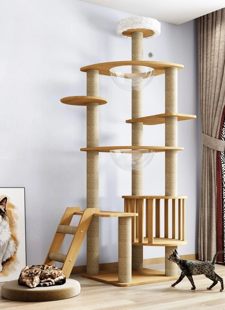 Arbre à chat en bois massif