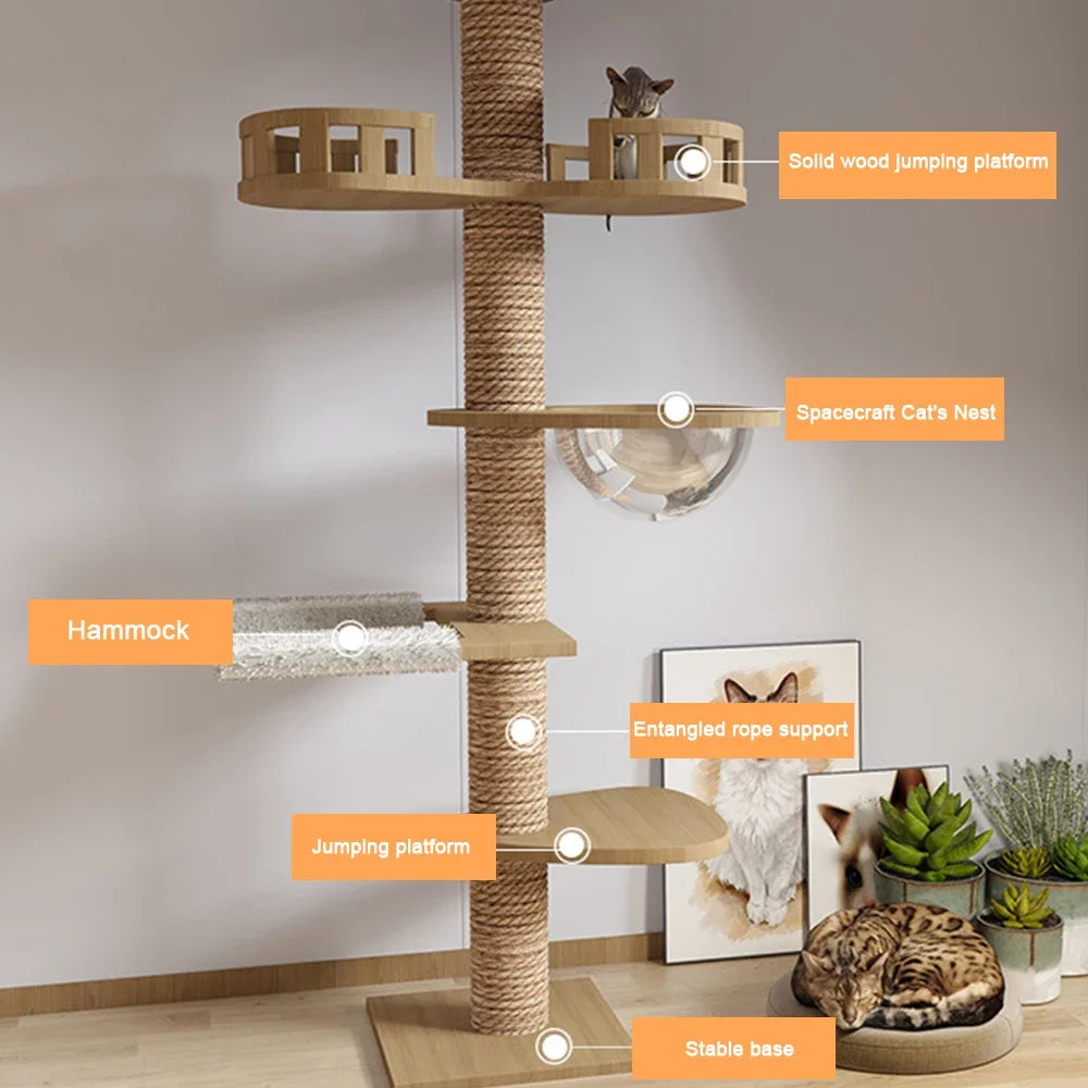 Arbre a chat XXL en bois naturel du sol au plafond avec hamac, Adapté gros chats, Maine Coon - Modèle : "SkyCat"
