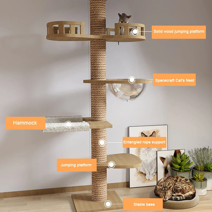 Arbre a chat XXL en bois naturel du sol au plafond avec hamac, Adapté gros chats, Maine Coon - Modèle : "SkyCat"