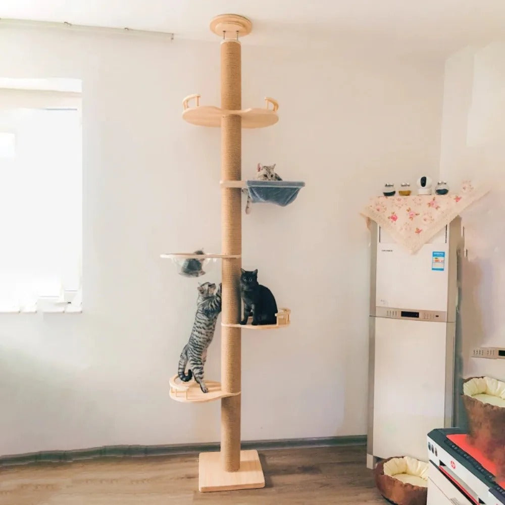 Arbre a chat XXL en bois naturel du sol au plafond avec hamac, Adapté gros chats, Maine Coon - Modèle : "SkyCat"