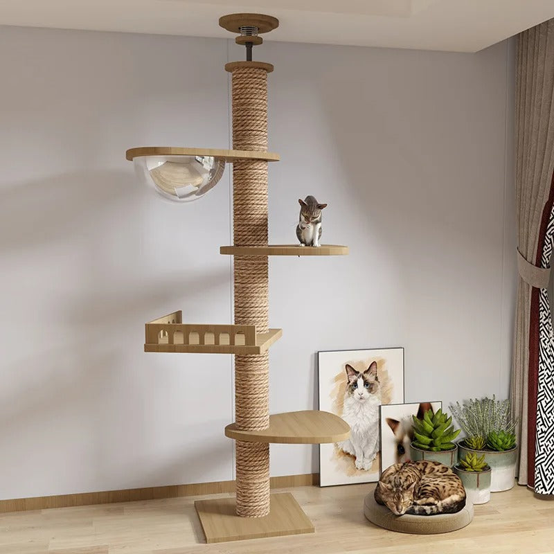 Arbre a chat XXL en bois naturel du sol au plafond avec hamac, Adapté gros chats, Maine Coon - Modèle : "SkyCat"