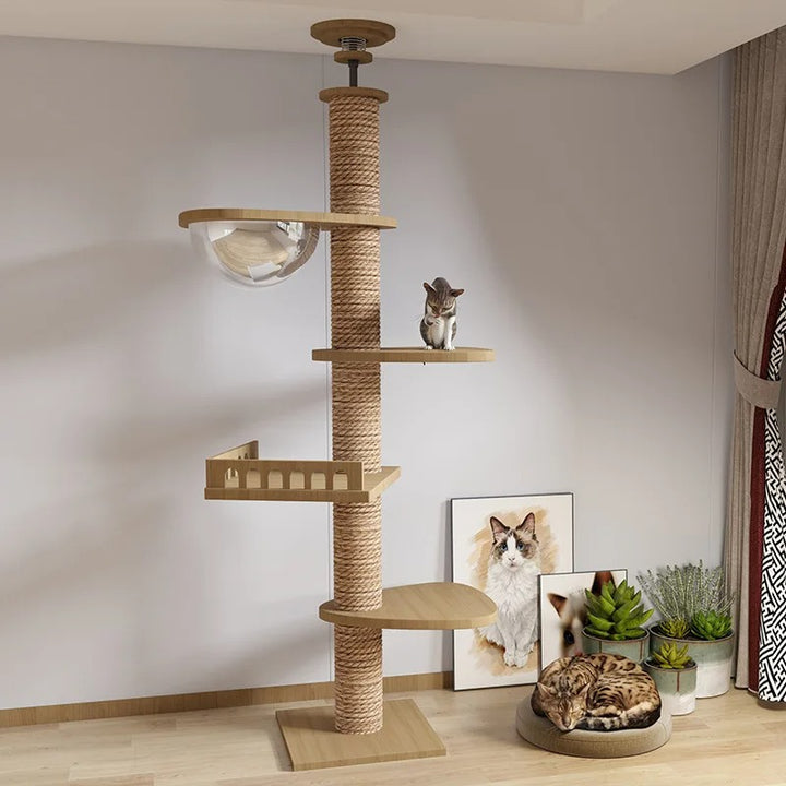 Arbre a chat XXL en bois naturel du sol au plafond avec hamac, Adapté gros chats, Maine Coon - Modèle : "SkyCat"