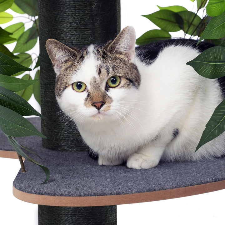 Arbre à Chat design naturel avec feuilles - Modèle "Chat'Canopée"