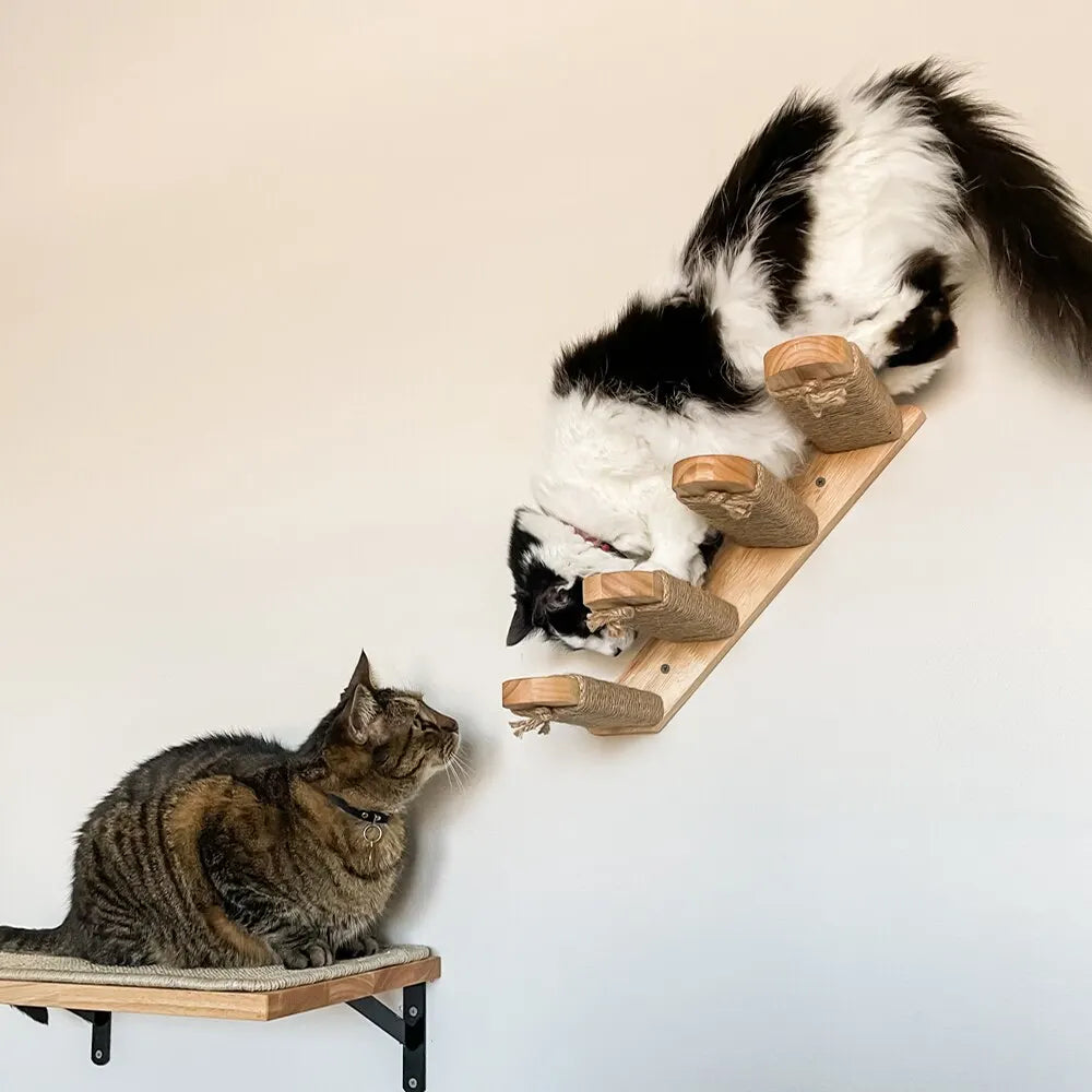 Arbre a chat mural en Bois avec tube transparent - MerveillesMurales