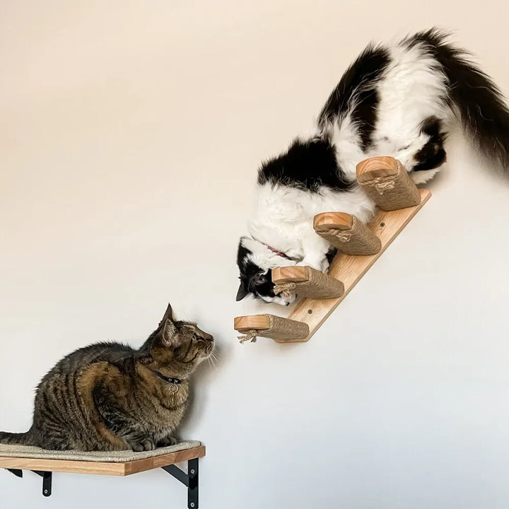 Arbre a chat mural en Bois avec tube transparent - MerveillesMurales