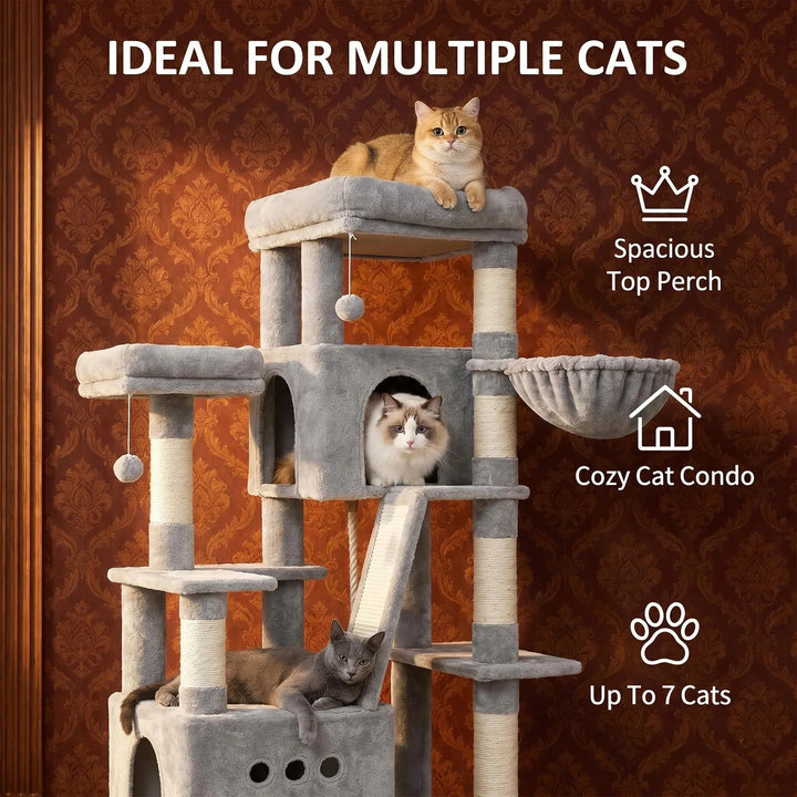 Arbre à chat XXL 201 cm gris clair pour Maine Coon avec hamacs