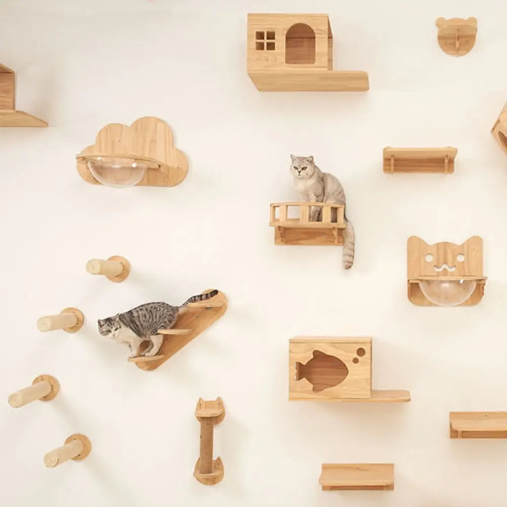 Arbre a chat mural en Bois avec tube transparent - MerveillesMurales