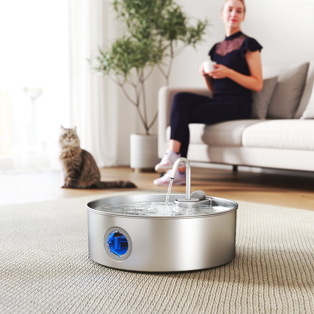 Fontaine à eau pour chats en acier inoxydable, design moderne avec robinet, couleur argentée.