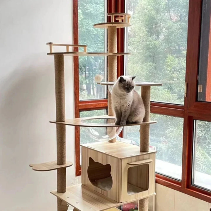 Arbre à chat en bois naturel et design - "CatForest"