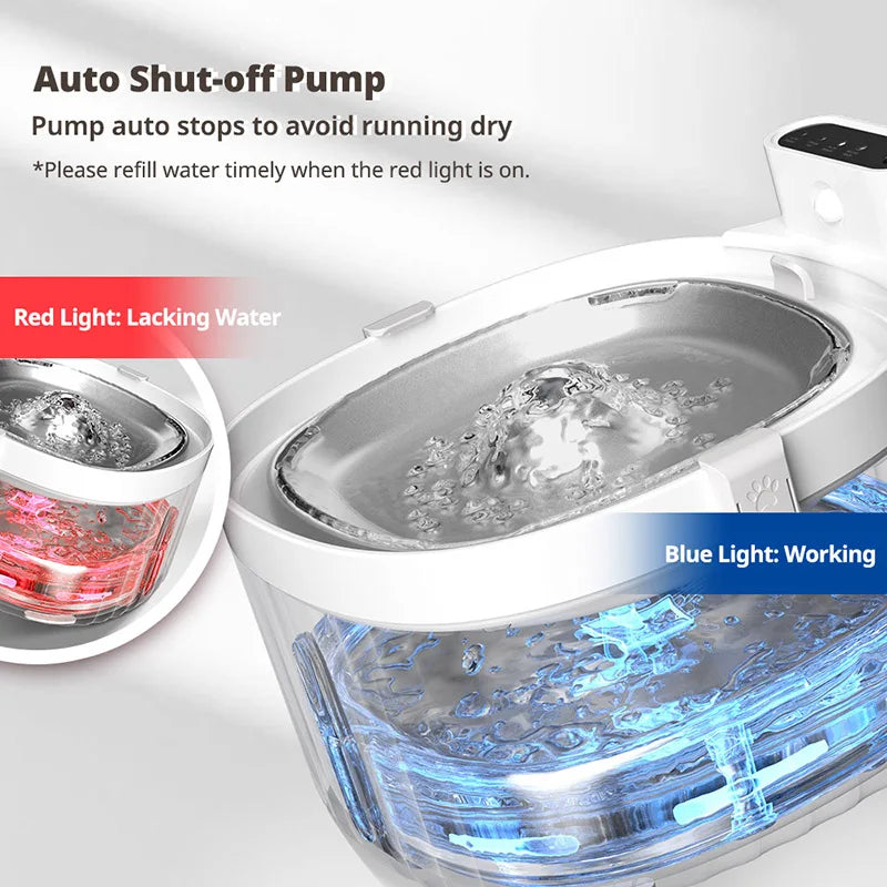 Pompe à arrêt automatique, blanc, évite la marche à sec, lumières rouge et bleue indicatives.