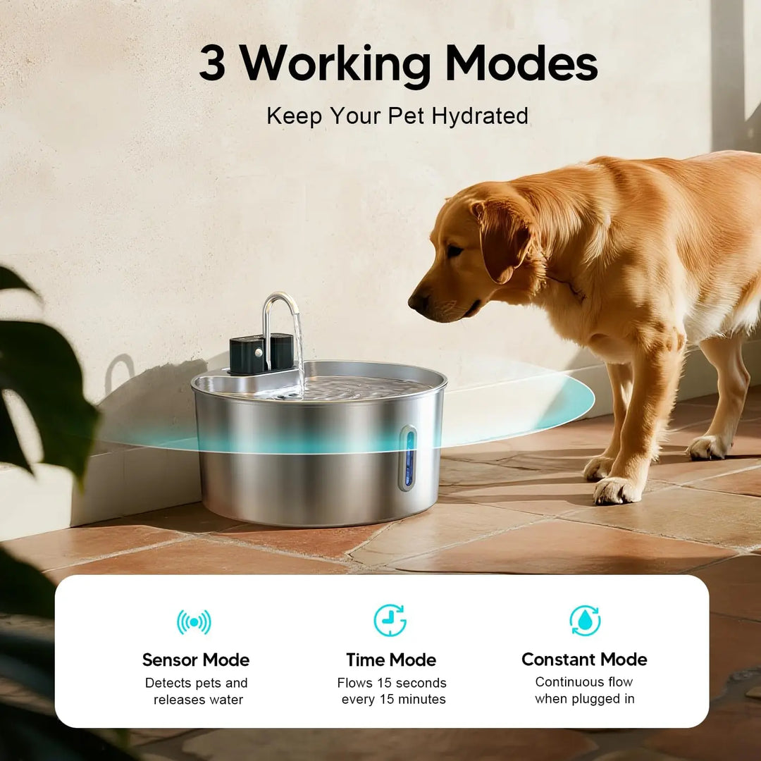Fontaine à eau pour animaux en acier inoxydable, trois modes de fonctionnement pour hydrater votre chien.