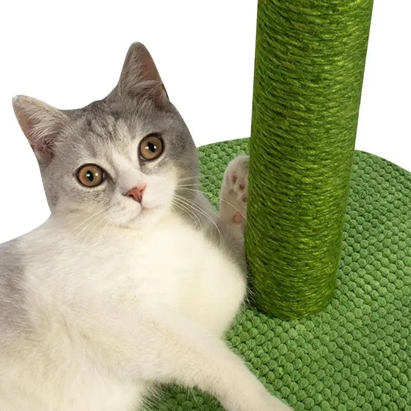 Arbre a chat Cactus - CactusTigrou