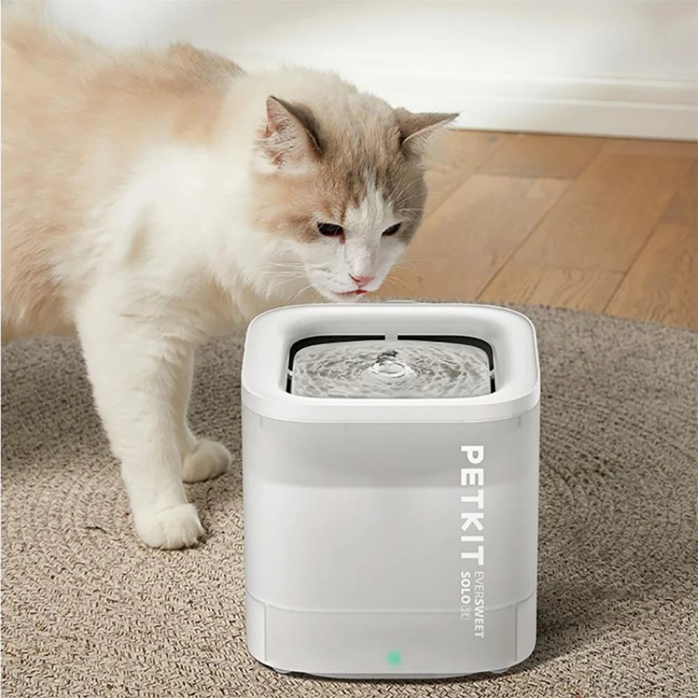 Fontaine à eau PETKIT Eversweet Solo blanche, idéale pour chats, avec design moderne et filtration.