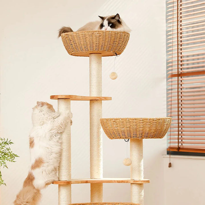 Arbre a chat Design en Bois Massif - Modèle SkyNest