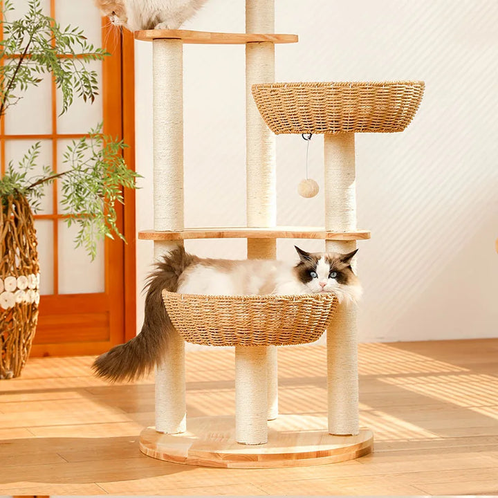 Arbre a chat Design en Bois Massif - Modèle SkyNest