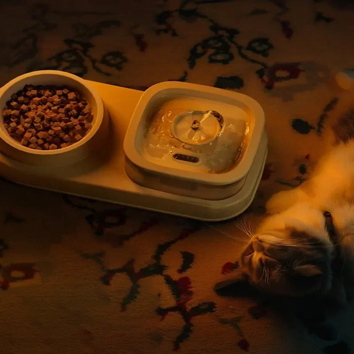 Distributeur automatique d'eau et de croquettes beige pour chats, avec bol en céramique.