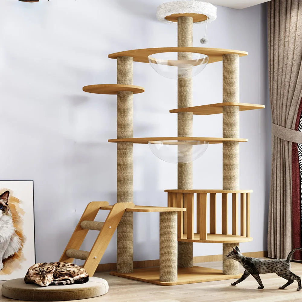Arbre à chat en bois massif