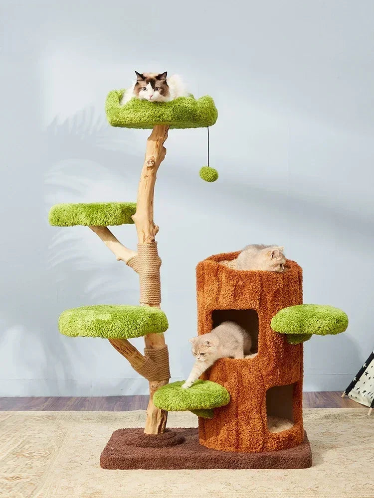 Arbre à chat Design -  Jardin et tronc - HavreChat