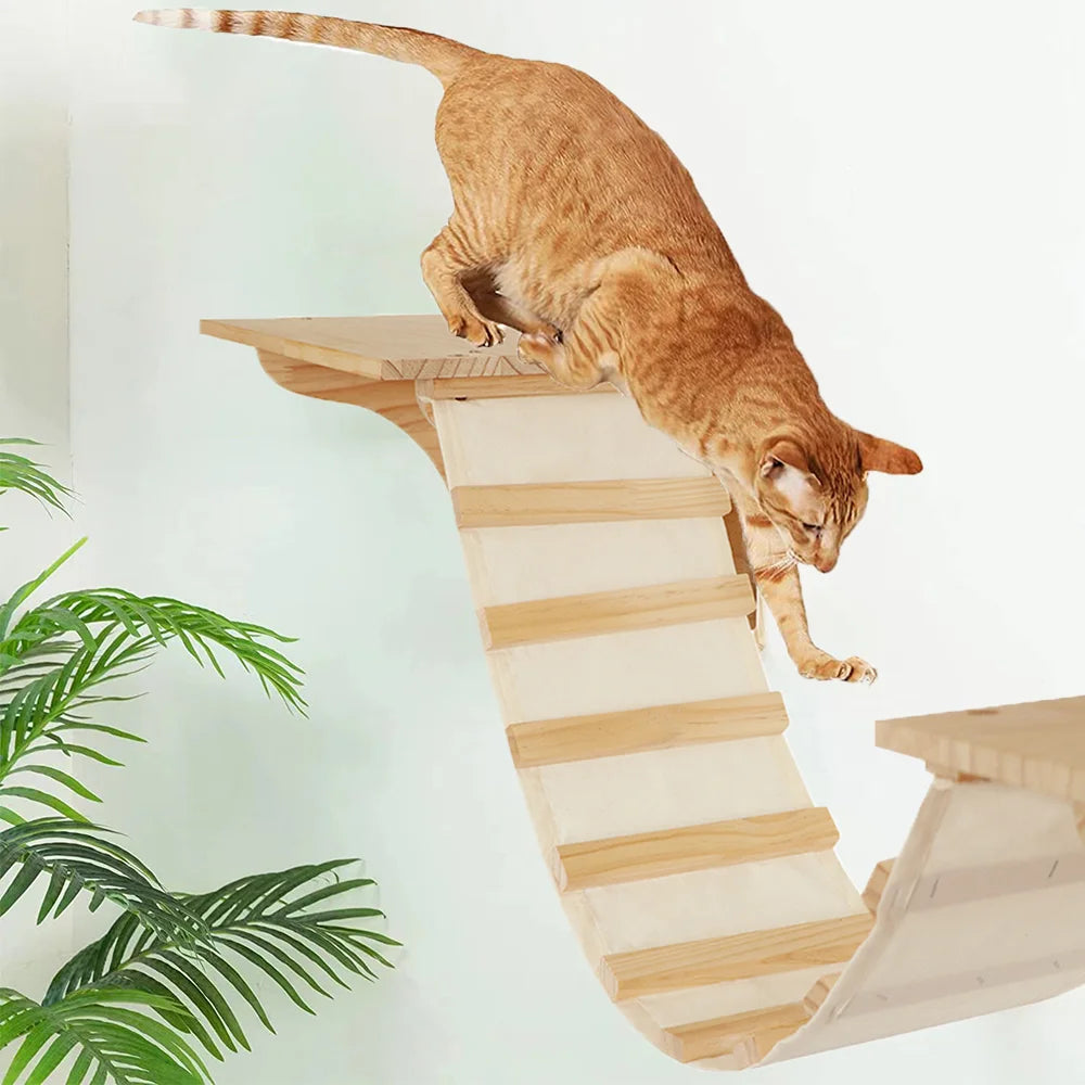 Arbre a chat mural en Bois avec tube transparent - MerveillesMurales