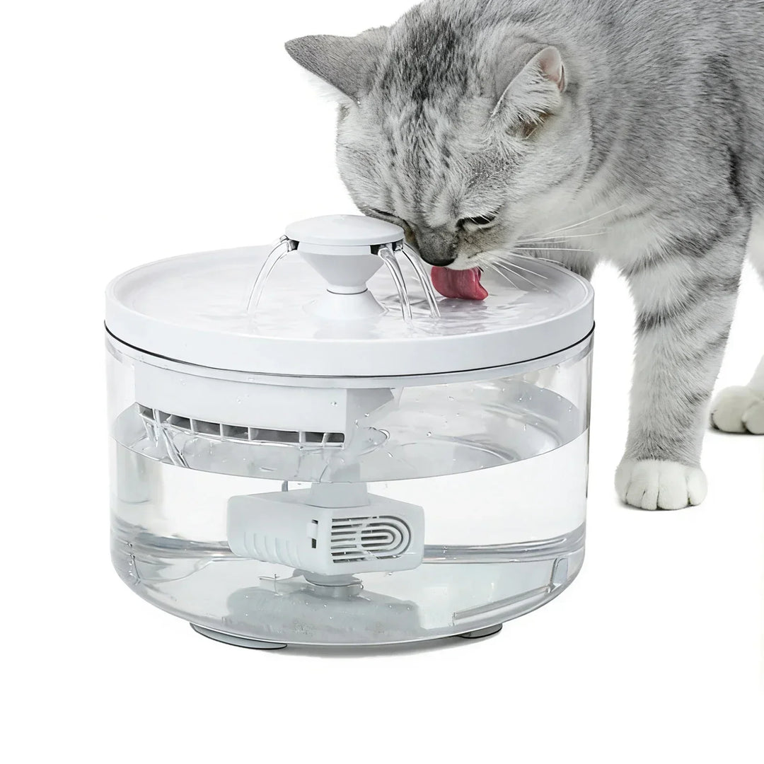 Fontaine à eau pour chat en plastique transparent, blanche, avec circulation d'eau fraîche et silencieuse.