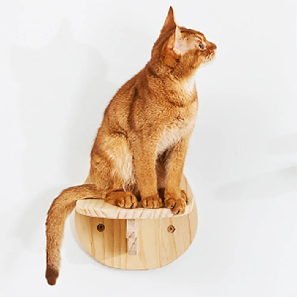 hängematte für katzenbaum Nest Holz Mond Hängematte Katzenbaum – Les Arbres Aux Chats