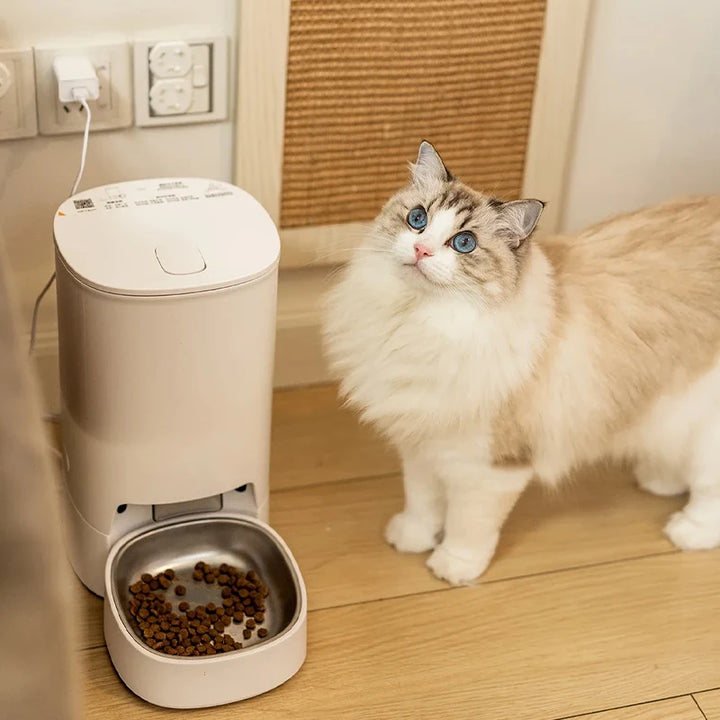 Distributeur automatique de croquettes pour chat beige avec bol en inox et un chat à fourrure fluffy.