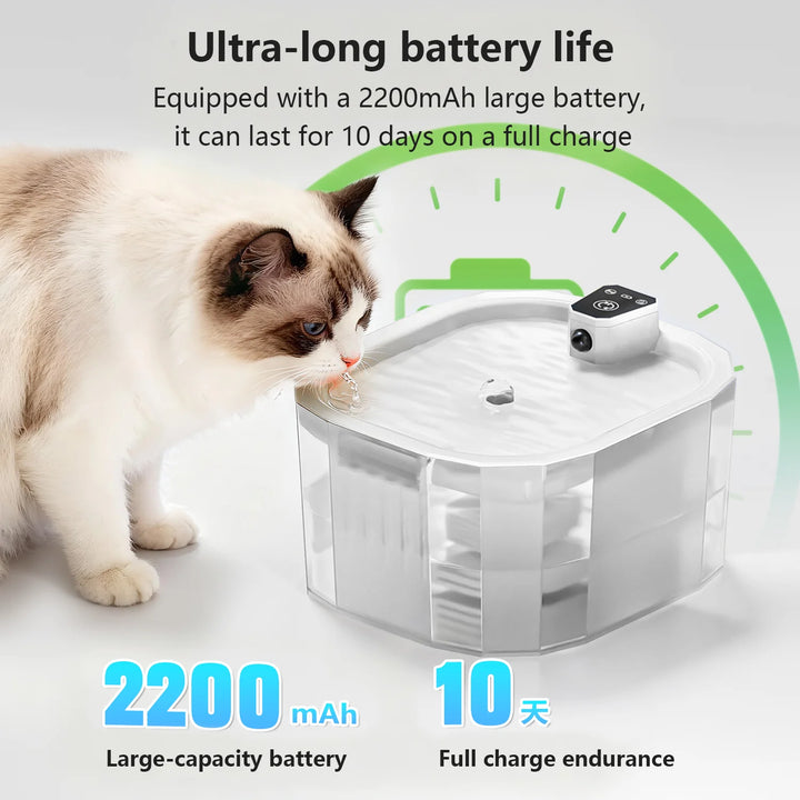 Fontaine pour chat en plastique transparent, batterie 2200 mAh, autonomie 10 jours, design moderne.
