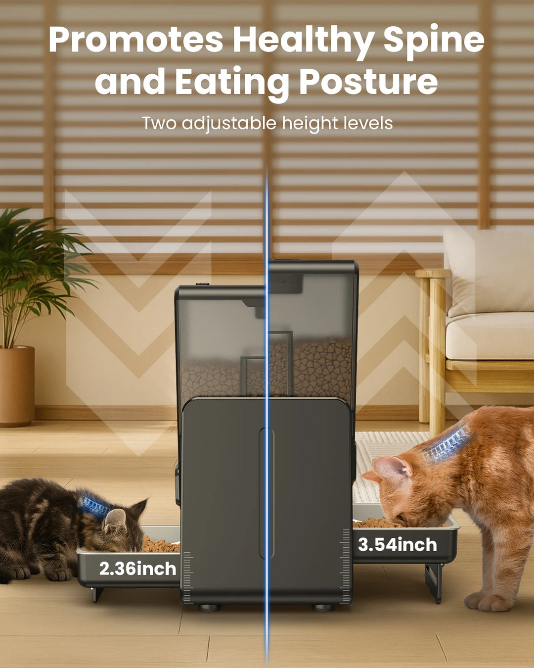 Distributeur de nourriture pour chat noir avec deux hauteurs réglables, favorisant une bonne posture alimentaire.