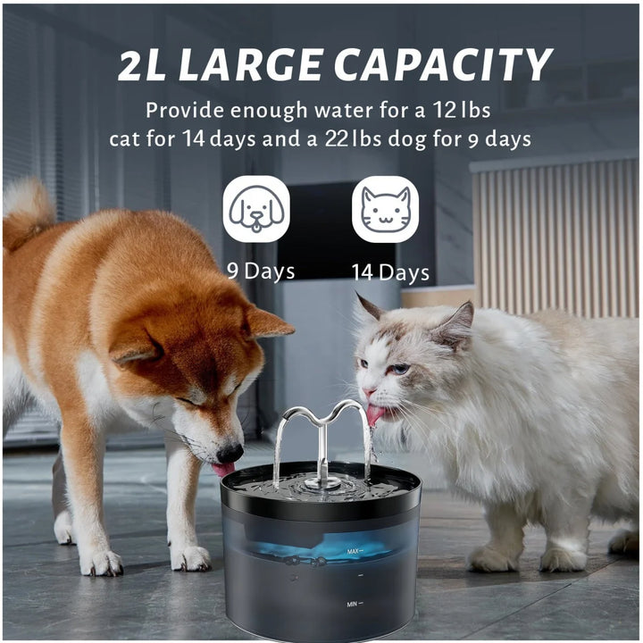 Fontaine à eau pour animaux, 2L, noire, idéale pour chiens et chats, alimentation pour 9 à 14 jours.