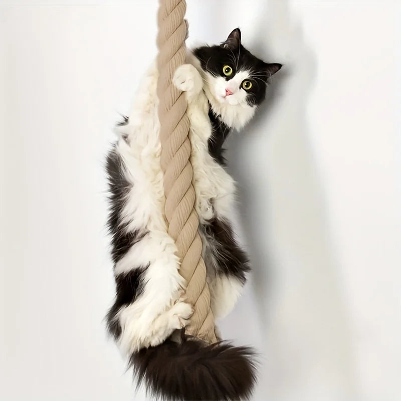 corde d'escalade murale pour chat avec plateforme