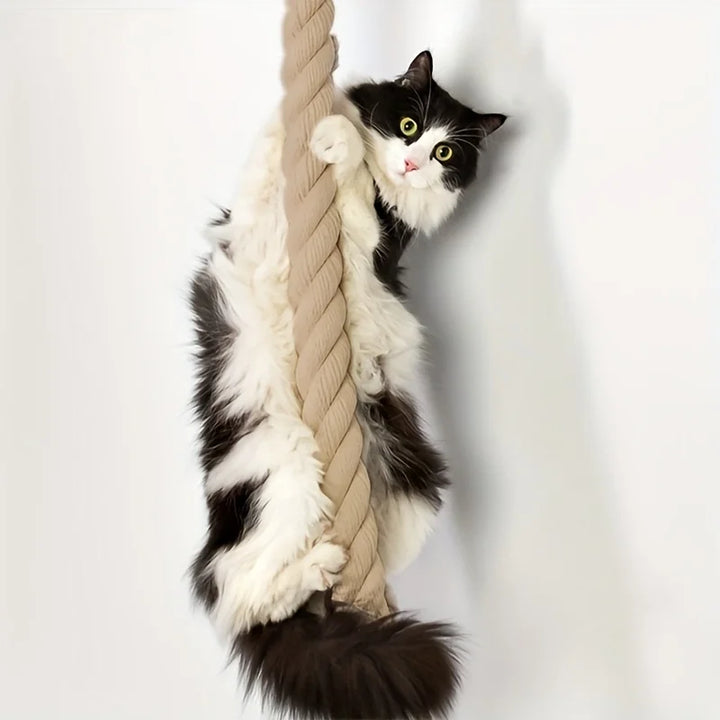 corde d'escalade murale pour chat avec plateforme