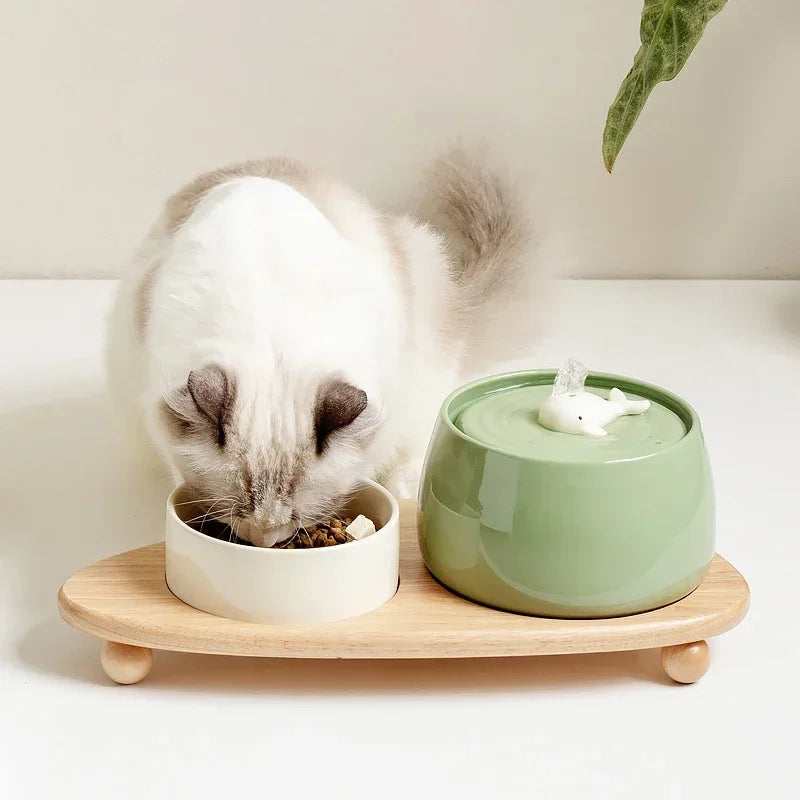 Bol pour chat en céramique blanche et verte sur support en bois, avec fontaine intégrée.