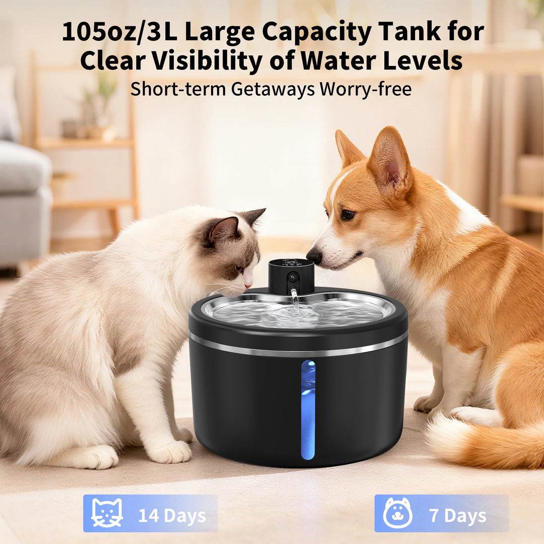 Fontaine à eau pour animaux, noire, 3L, visibilité claire des niveaux, idéale pour 7-14 jours.