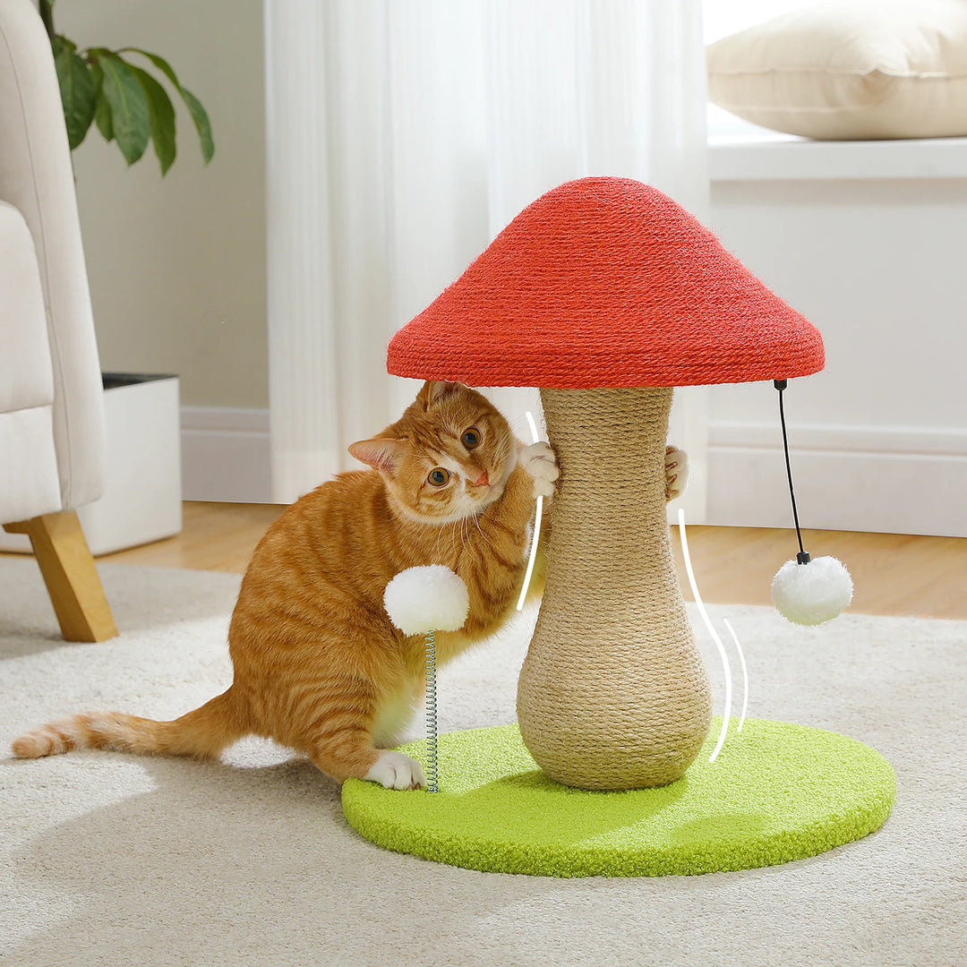 Arbre à chat pas cher - Champignon