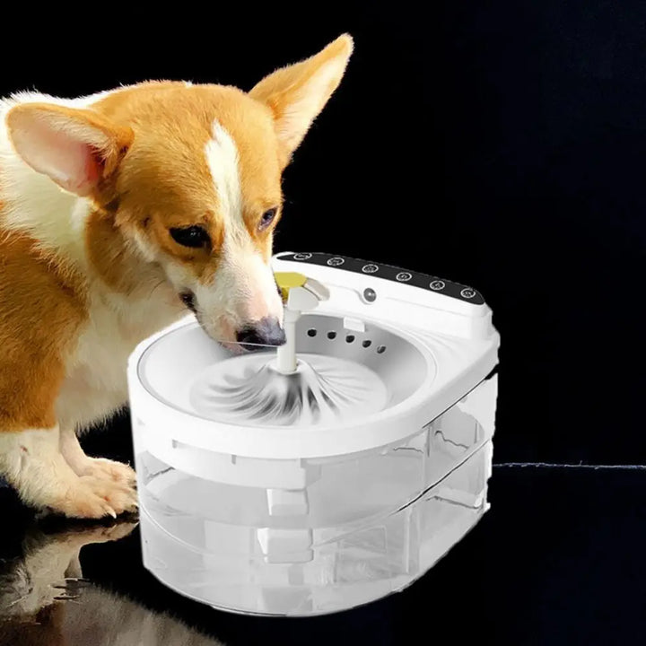 Fontaine à eau pour chien, blanche, en plastique, dispense de l'eau fraîche pour une meilleure hydratation.