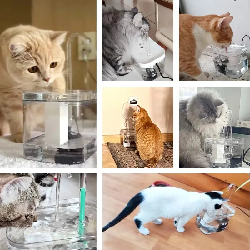 Fontaine à eau pour chats, en plastique transparent, avec flux d'eau, idéale pour hydrater vos animaux.