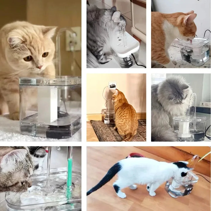 Fontaine à eau pour chats, en plastique transparent, avec flux d'eau, idéale pour hydrater vos animaux.