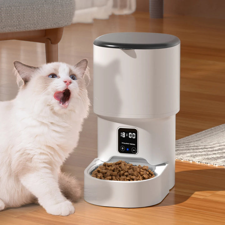 Distributeur de croquettes automatique blanc avec écran, idéal pour chats, pratique et élégant.