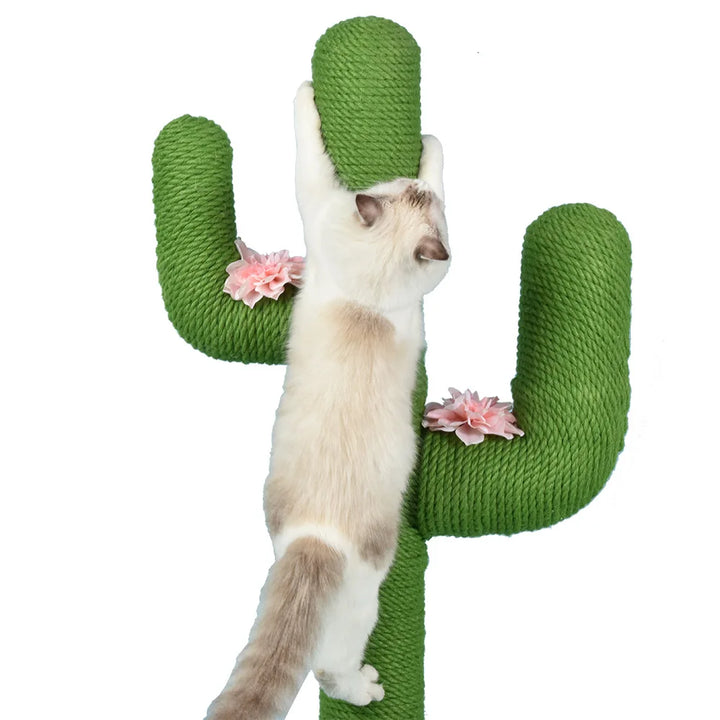 Arbre a chat Cactus - MiaouCactus