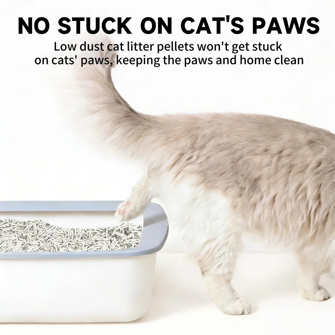 Litière Mixte Tofu Ultra Fraîche – Modèle "FreshMix Clean 2.4Kg"