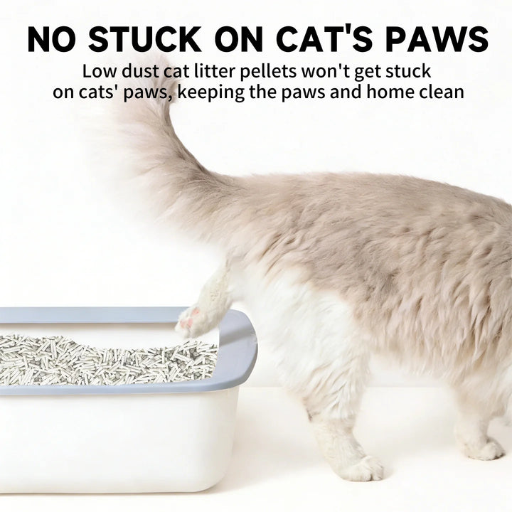 Litière Mixte Tofu Ultra Fraîche – Modèle "FreshMix Clean 2.4Kg"