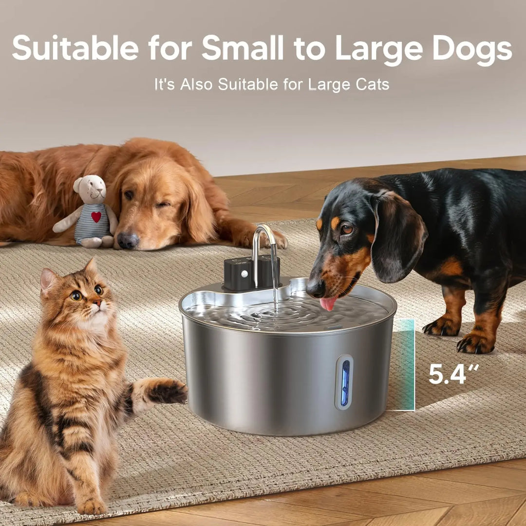 Fontaine à eau en acier inoxydable pour chiens et grands chats, 5,4 pouces, adaptée à toutes tailles.