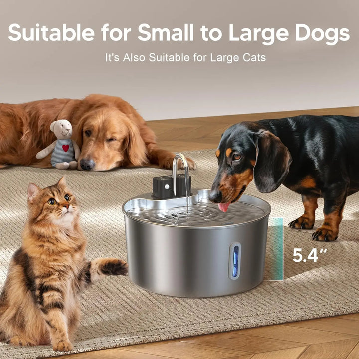 Fontaine à eau en acier inoxydable pour chiens et grands chats, 5,4 pouces, adaptée à toutes tailles.