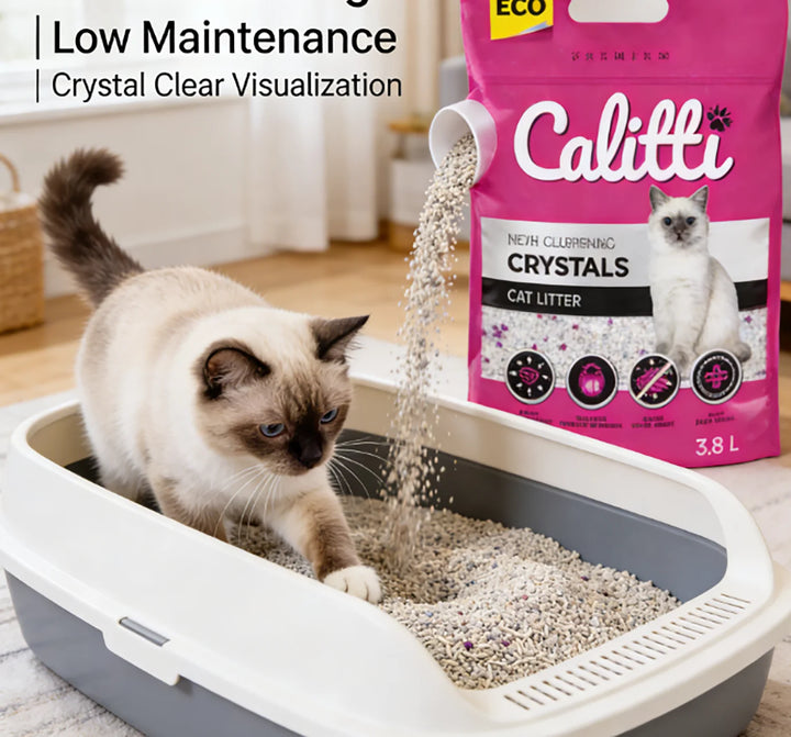 Litière Cristaux de Silice – Modèle "CrystalClean 3.8L"