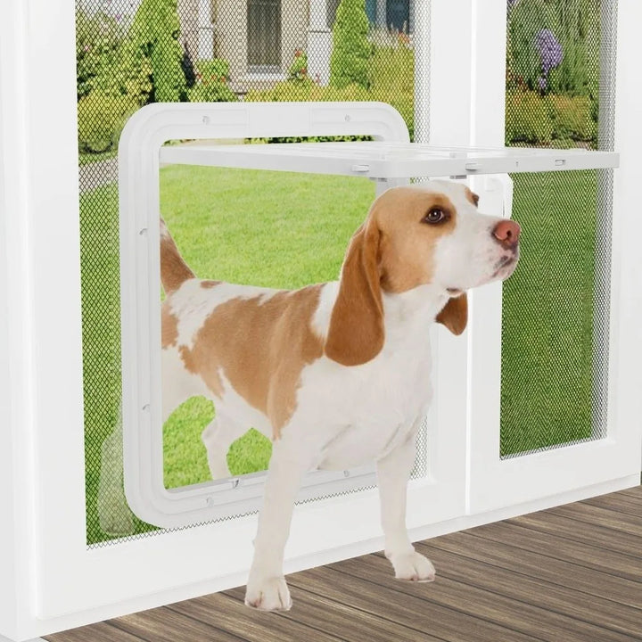 chatière pour chien