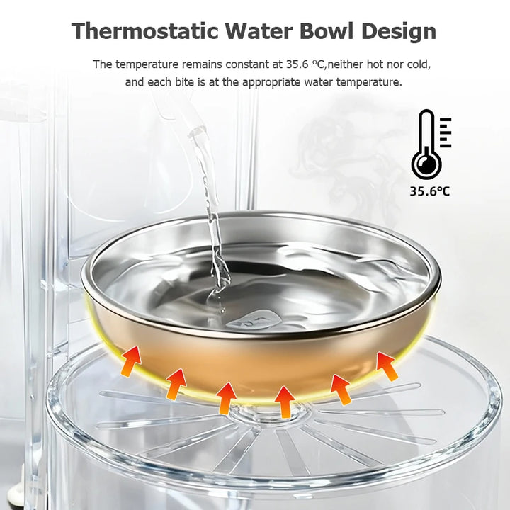 Bol d'eau thermostatique en acier inoxydable de 35,6°C, design innovant pour un confort optimal des animaux.