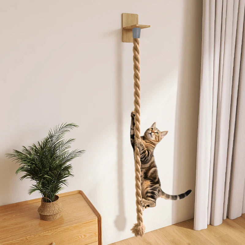 corde d'escalade murale pour chat avec plateforme