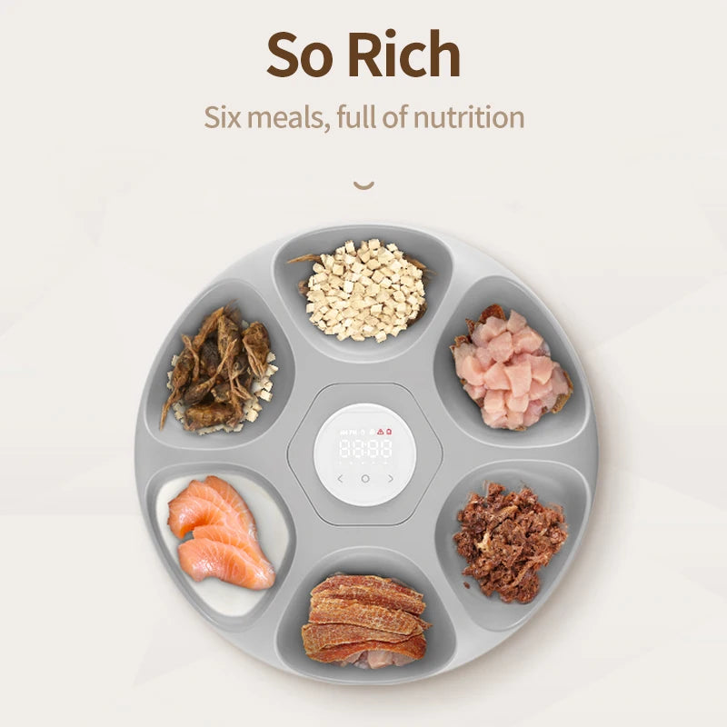 Distributeur de nourriture pour animaux, gris, six compartiments pour repas variés et nutritifs.